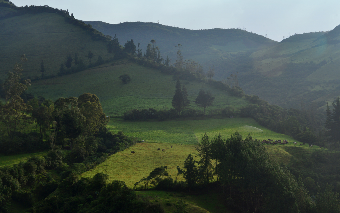 Hacienda